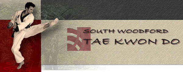 South Woodford Taekwondo header image